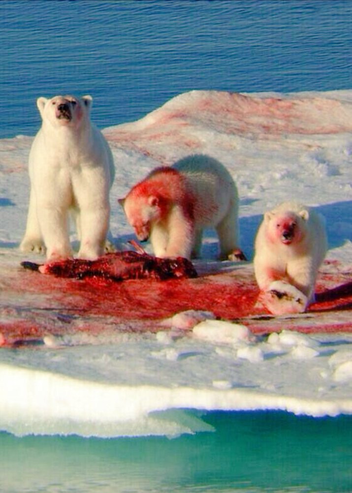SampaioPool's tweet photo. Mas gente eu achava que eles tomavam coca cola https://t.co/nfjH3Gnw0n