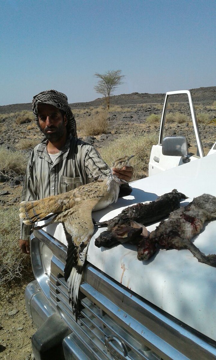 صيد ابو رايد سعدون العويمري اليوم السبت/1438/1/14