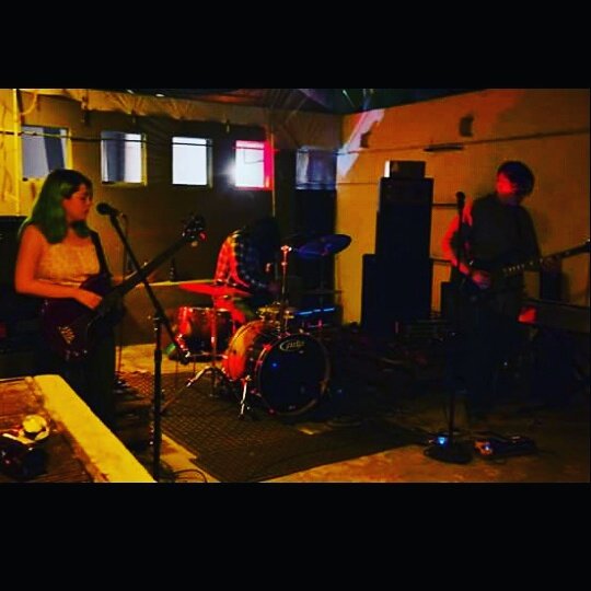 Lepus & Pulse tweet media