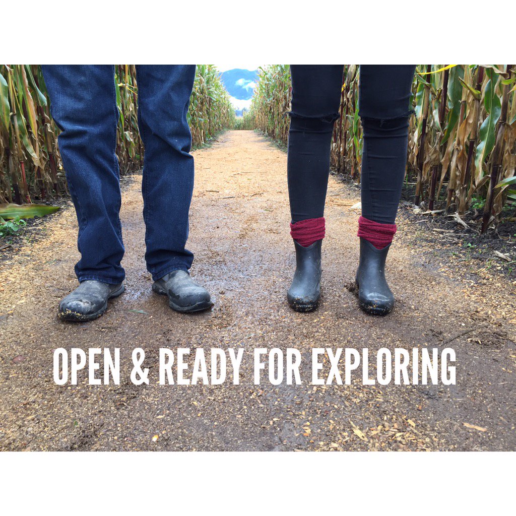 Chilliwack Corn Maze tweet media