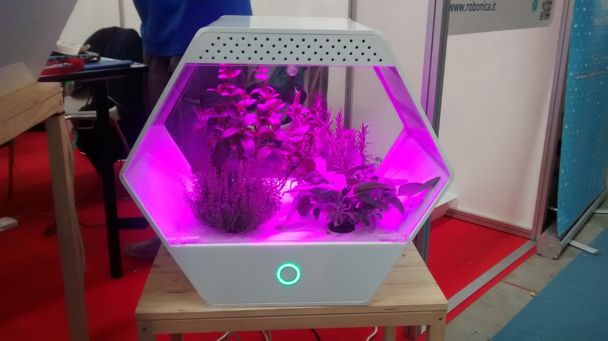 Its plant party!
#MFR16 #foodinpro