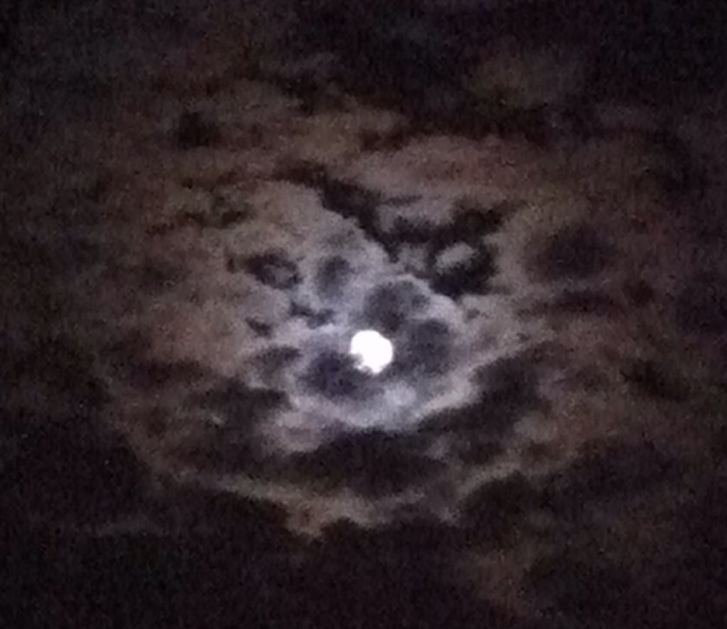 tracbenet's tweet photo. Took this pic last night!
Do you see what I see 😱 https://t.co/lwS3yS5KCb