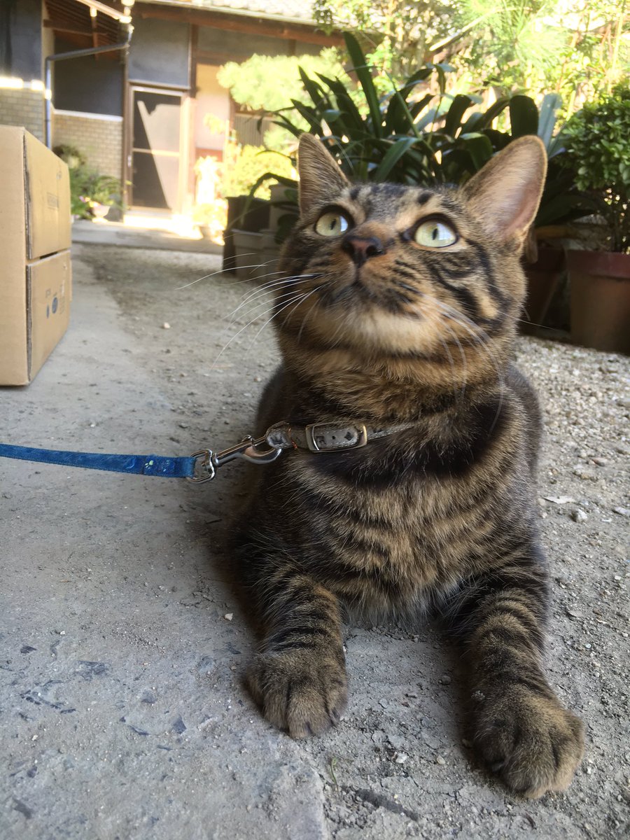 pinechan_RT's tweet image. 