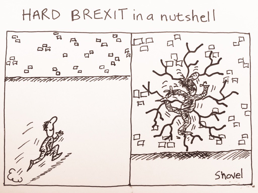 Martin Shovel tweet media