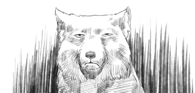 色々と疑問があったようなので、暗視装置の価格を話したときの奥さんの顔を描きました
