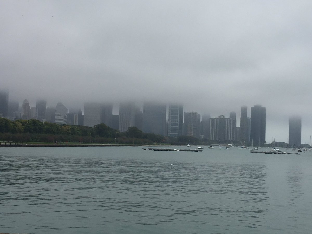 MaryLBlanchard's tweet image. A gray beauty. Walking today we saw people of all sorts. The distance between you &amp;amp; another is a smile long #notawarzone