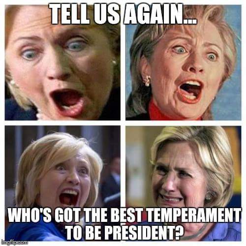 Clinton campaign bashes media, despite them largely ignoring Wikileaks