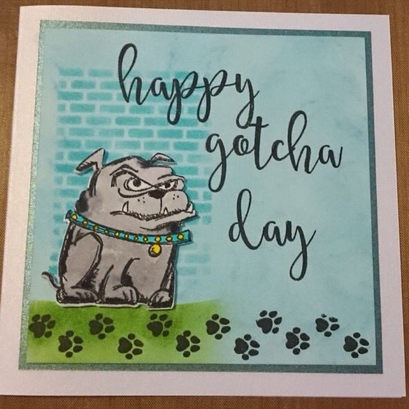 Cat_MarsEchelon's tweet photo. Gotcha day cards now available from @BygonesCards via etsy #getemwhiletheirhot https://t.co/fe5wha6xWX