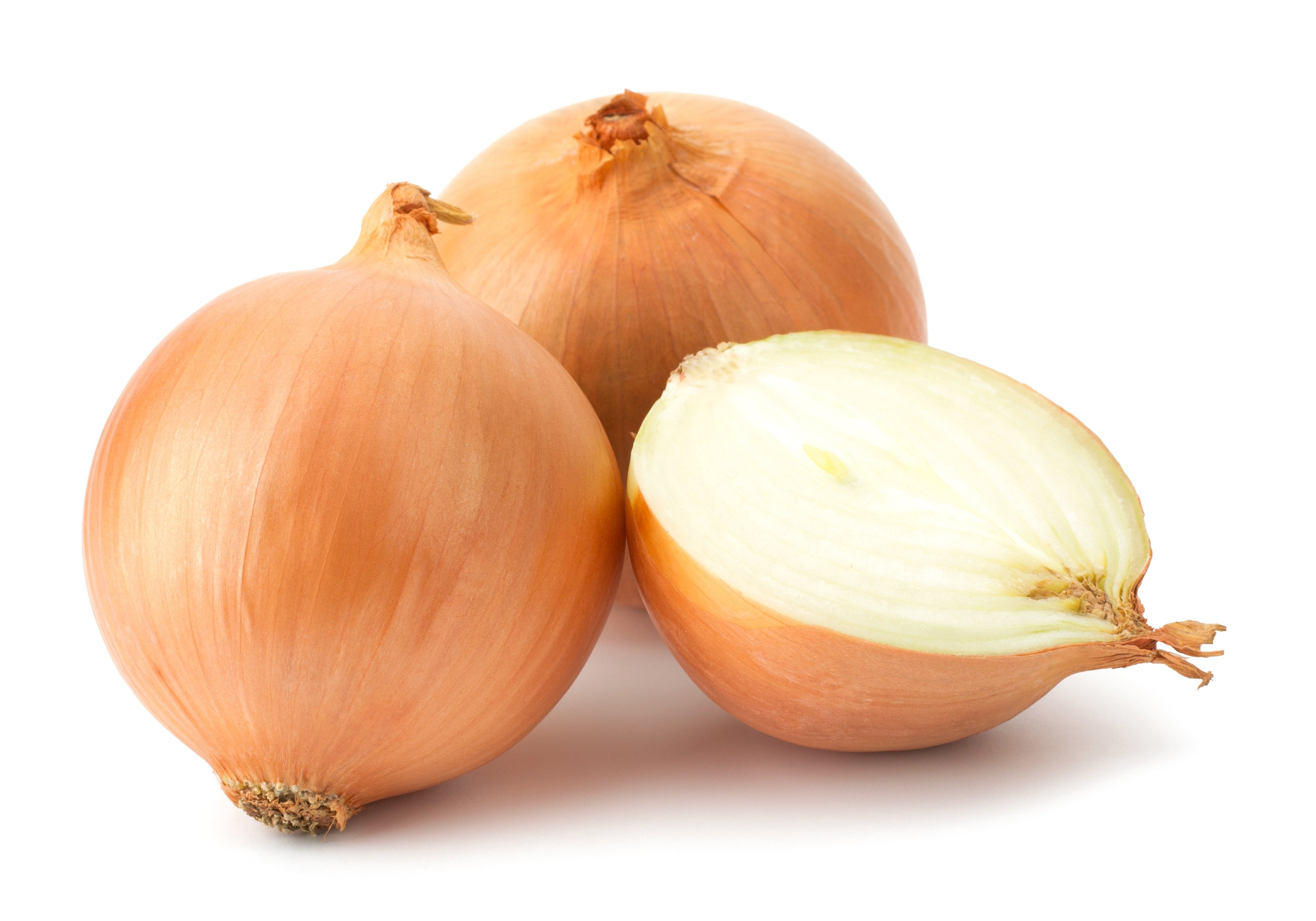 leVocab sur Twitter : "OIGNON: the gender of
                the French word for onion is masculine...l'oignon
                #mfltwitterati #mflire #learnfrench
                https://t.co/cXrYGFqp3r" / Twitter