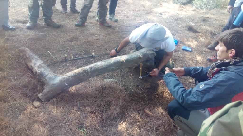 ferrehogar's tweet photo. Trampeo primitivo en situación de #supervivencia  instructor @GallartNacho CBS 26/16 https://t.co/X4znOD6omV