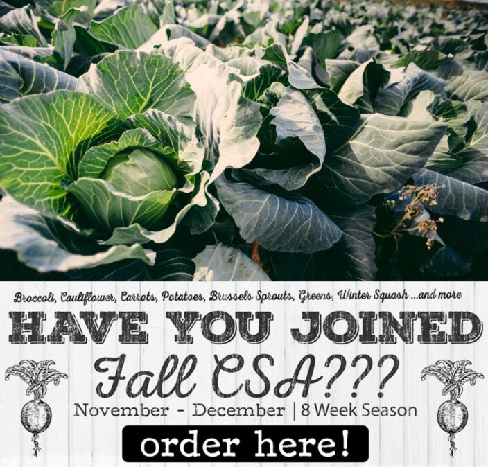 One week left to Sign Up for our fall CSA!!!! #coop #csa #lffc #organic #local #sustainable lancasterfarmfresh.com/product-catego…