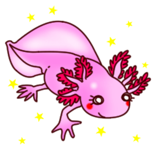 ウーパールーパーのtwitterイラスト検索結果 古い順