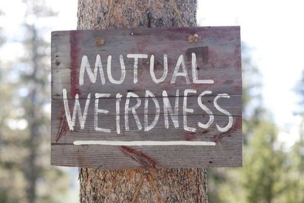 Perfect_Wedding's tweet photo. 22 seriously cute wedding sign ideas https://t.co/r2S3tEjbRX https://t.co/nVTczZomsy