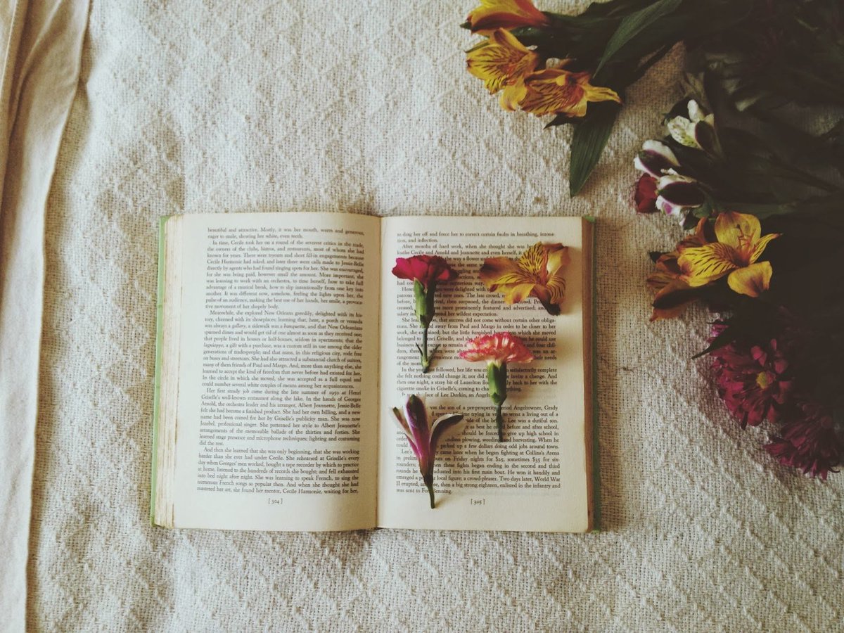 Uživajte ovog popodneva uz vašu omiljenu knjigu i najdražu čokoladu.