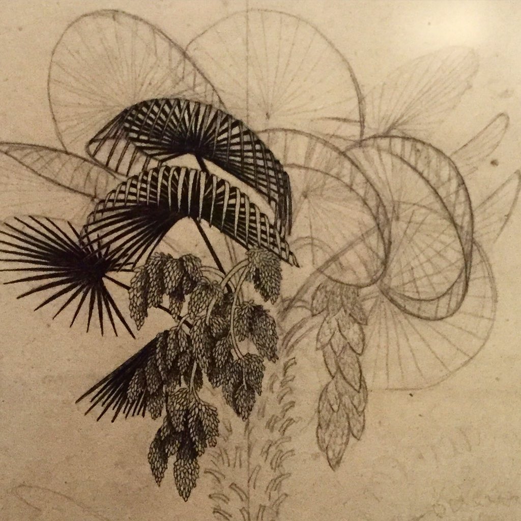 Lovely bit of Escher.