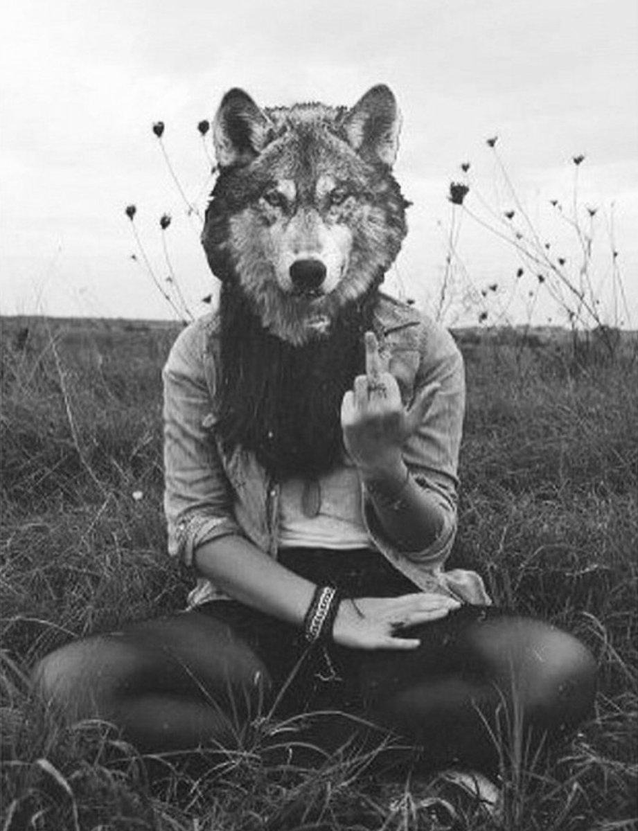 carolineeeei's tweet photo. Hoy hay Luna llena https://t.co/5Sae4gtDcy