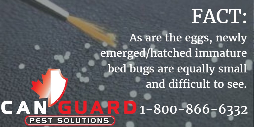 CanGuardPest's tweet photo. #CANGUARD Serving #Penticton & #SouthOkanagan for all your residential and commercial pest control needs! https://t.co/xe5vClt1J9