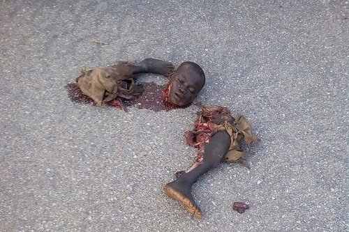 Vigilant troops of Operation LAFIYA DOLE, on Saturday morning, intercepted and neutralized a male suicide bomber at Madagali, Adamawa State.