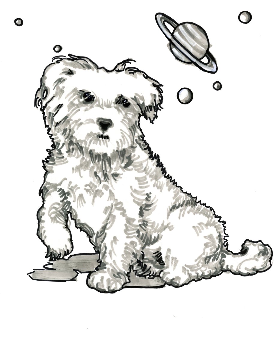CaraBristol's tweet photo. Would you take your pet into space with you? These 9 #ScifiRom authors did. #PetsInSpace. #iBbooks  https://t.co/ecWr9jBykT https://t.co/0ByXvdXXou