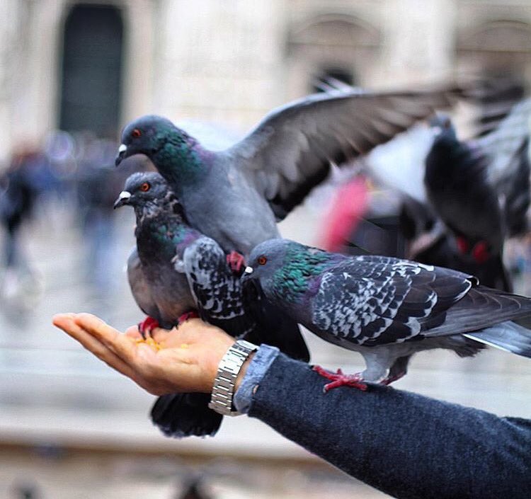 ↓❁ 
؛
؛
؛
'
خلّك لـ نفسك .. وقلبك : إحذر تْضيّعه !
والله مافيه أحد .. هالوقت " يستاهلك " 🌬