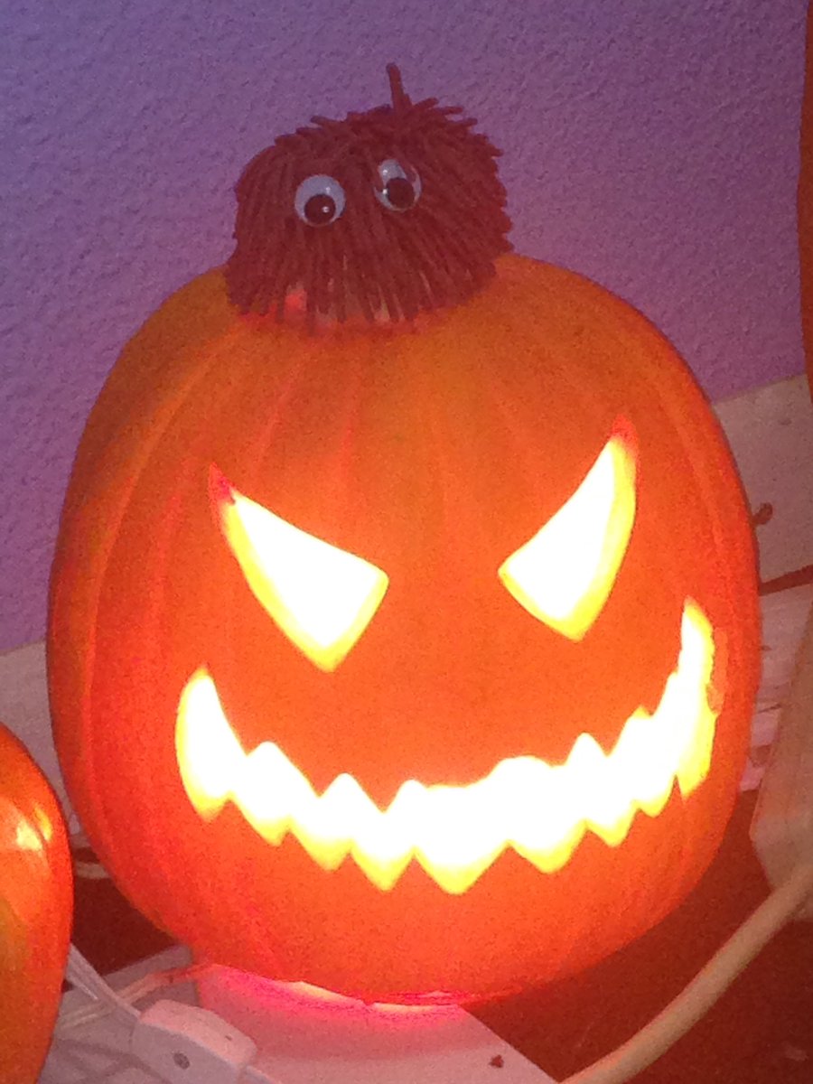 AdventuresofMop's tweet photo. I friends I need your help, what should I be for #Halloween ? #MopLife #MopNeedsAHalloweenCostume https://t.co/8MBHfNFYoM