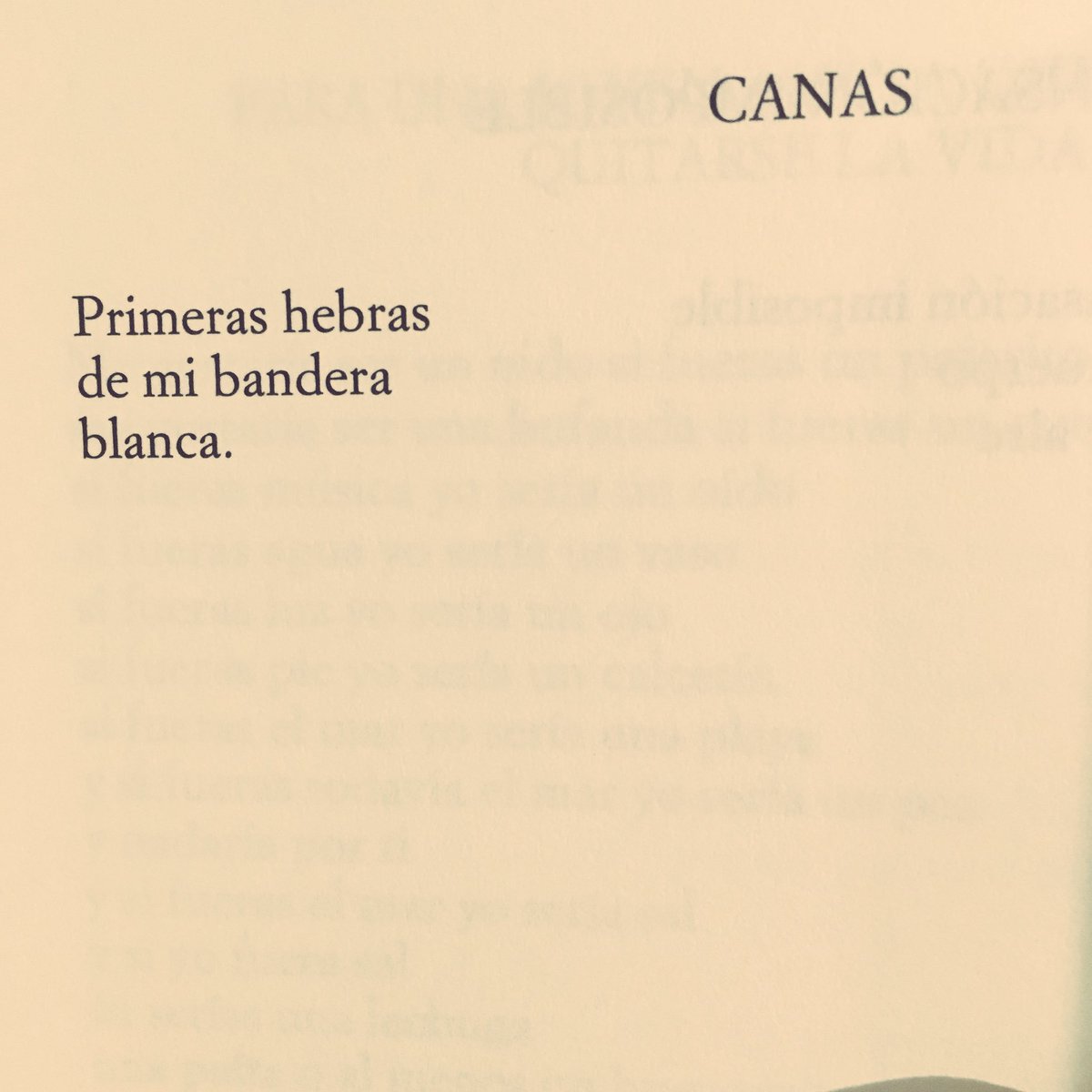 poesiaypoemia1's tweet photo. #ClaudioBertoni @Bertoni__ https://t.co/RHqHTtKmMl