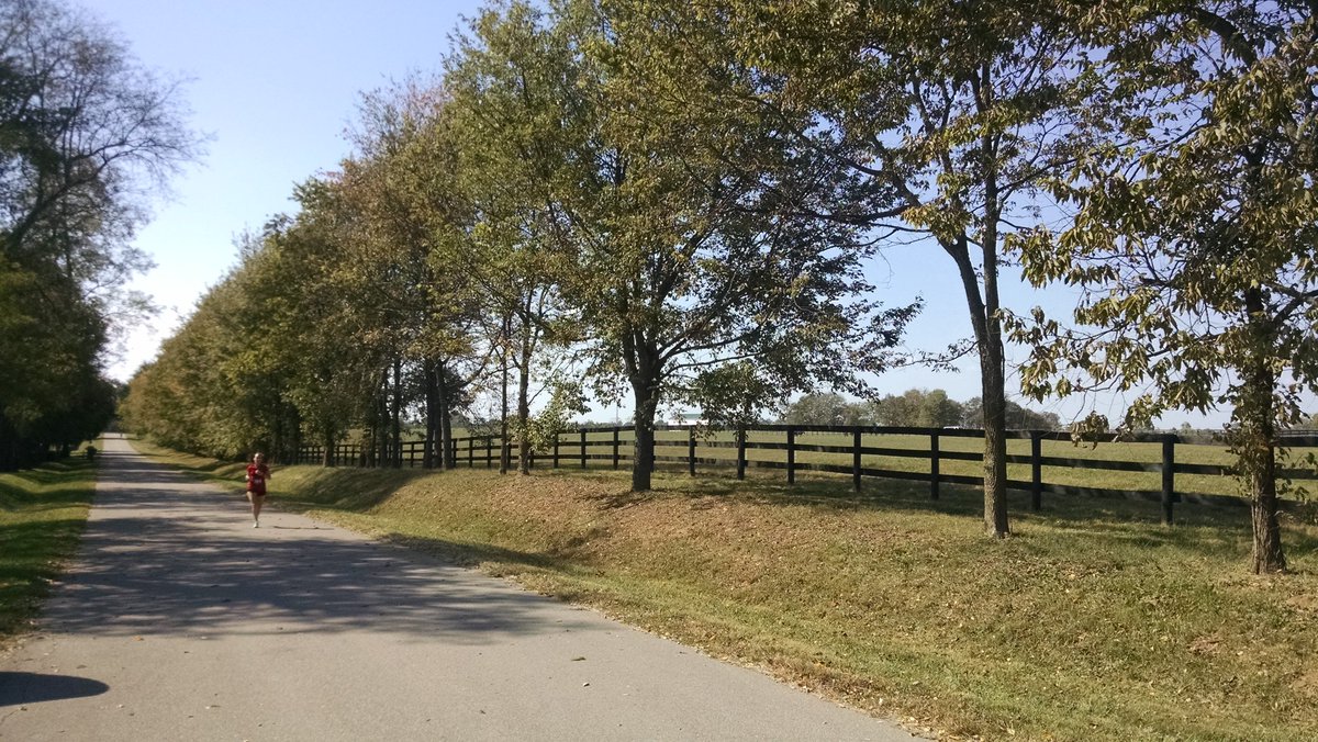 TheBourboneers's tweet photo. Van 2 on the homestretch! #bourbonchase #willrun4bourbon @ChiDan9 @courtneyratkowi @DrewKozlak @bmschaldach @anthonysbeard https://t.co/yNyQIkRyLj