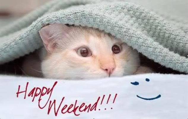 bonnie_hake's tweet photo. ๐๐๐๐๐ #HappyWeekend2All ๐
@GraceMurphy2 @scorpius111 @Jilliemary @MargoTalk @PCHRISTOPHER1 @AndrewKerr4 @thomasbrenda ๐ https://t.co/goIv3nkxml
