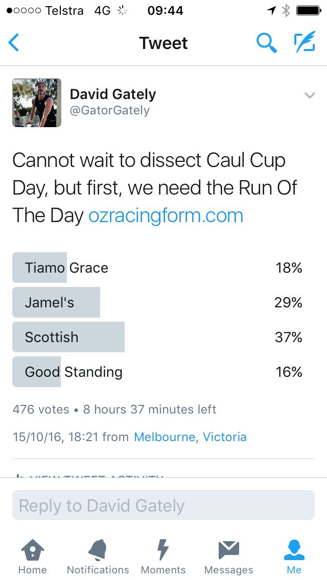 GatorGately's tweet image. It's tight this week! #RunOfTheDay #ozracingform.com #summary/forgivefileOUTMonday!