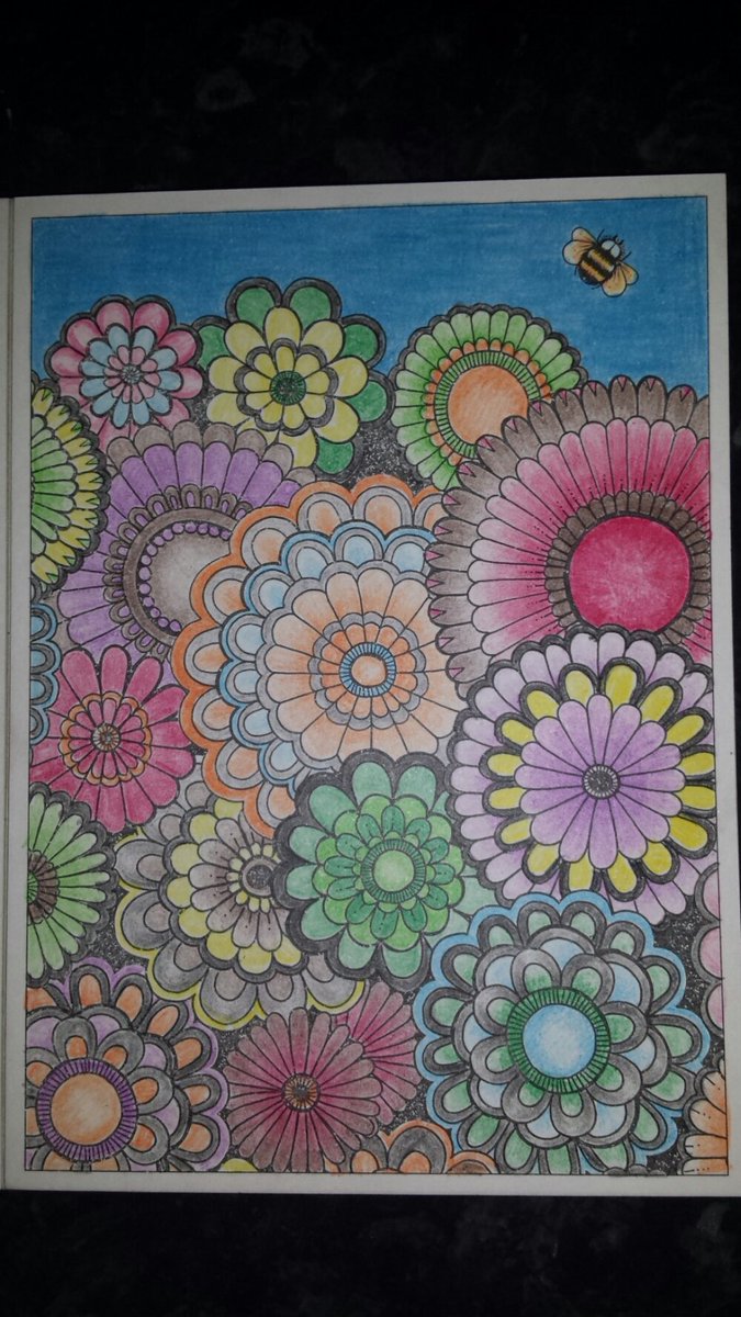 ColouringReview's tweet image. Have had a lovely afternoon colouring secret garden postcards. This one's done with crayola twistables. Love them.