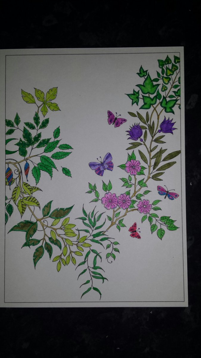 ColouringReview's tweet image. This one's coloired with Whsmiths coloured pens. Didn't like them. Very scratchy.  Def not worth the £15 price tag.