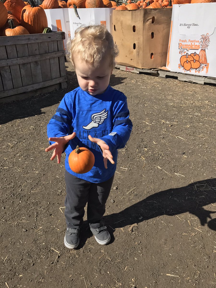 amyfadoolNBCS's tweet photo. It's magical at the @ILoveThatPlace pumpkin patch! #FloatingPumpkins #MrToddler https://t.co/HoxBGXFGMO