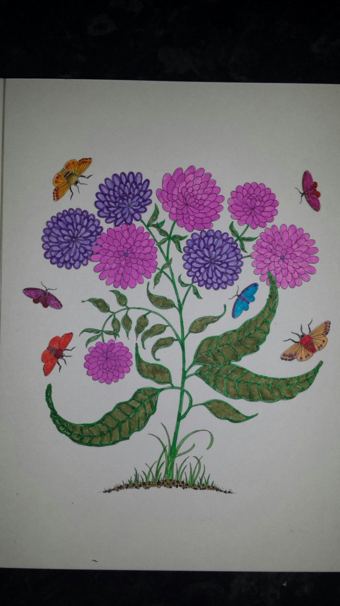 ColouringReview's tweet image. I used whsmith fineliners. For £15 I was expecting better. They are equally as bad as the felt tips. Waste of money