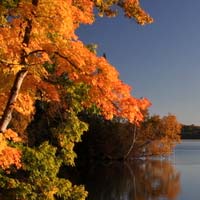 phil_sveum's tweet photo. Do you have a special location for the best in #FallColor? Share it, we'd love to know!
#FallInMadison https://t.co/wERg3rWFbi @TravelWI https://t.co/jHLQFYAQFF