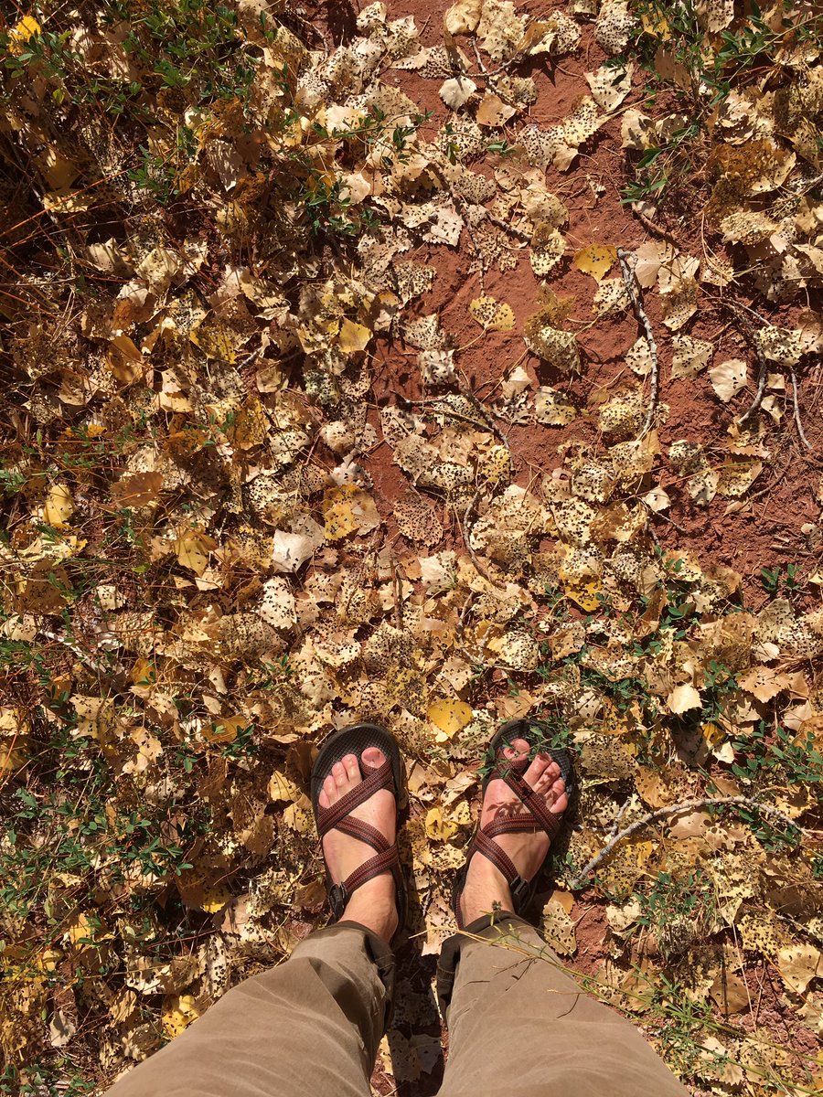 AustinAubry's tweet photo. Just some of this week's Chaco shots. @chacousa #moablife https://t.co/AgE5Mf7ePL