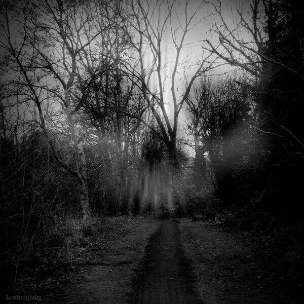 kness_dar's tweet photo. “Today I am dirty , but tomorrow I’ll be just dirt.” #serialkillerquotes #darkness #killers #dark #death https://t.co/PTMfJ9Eiwm