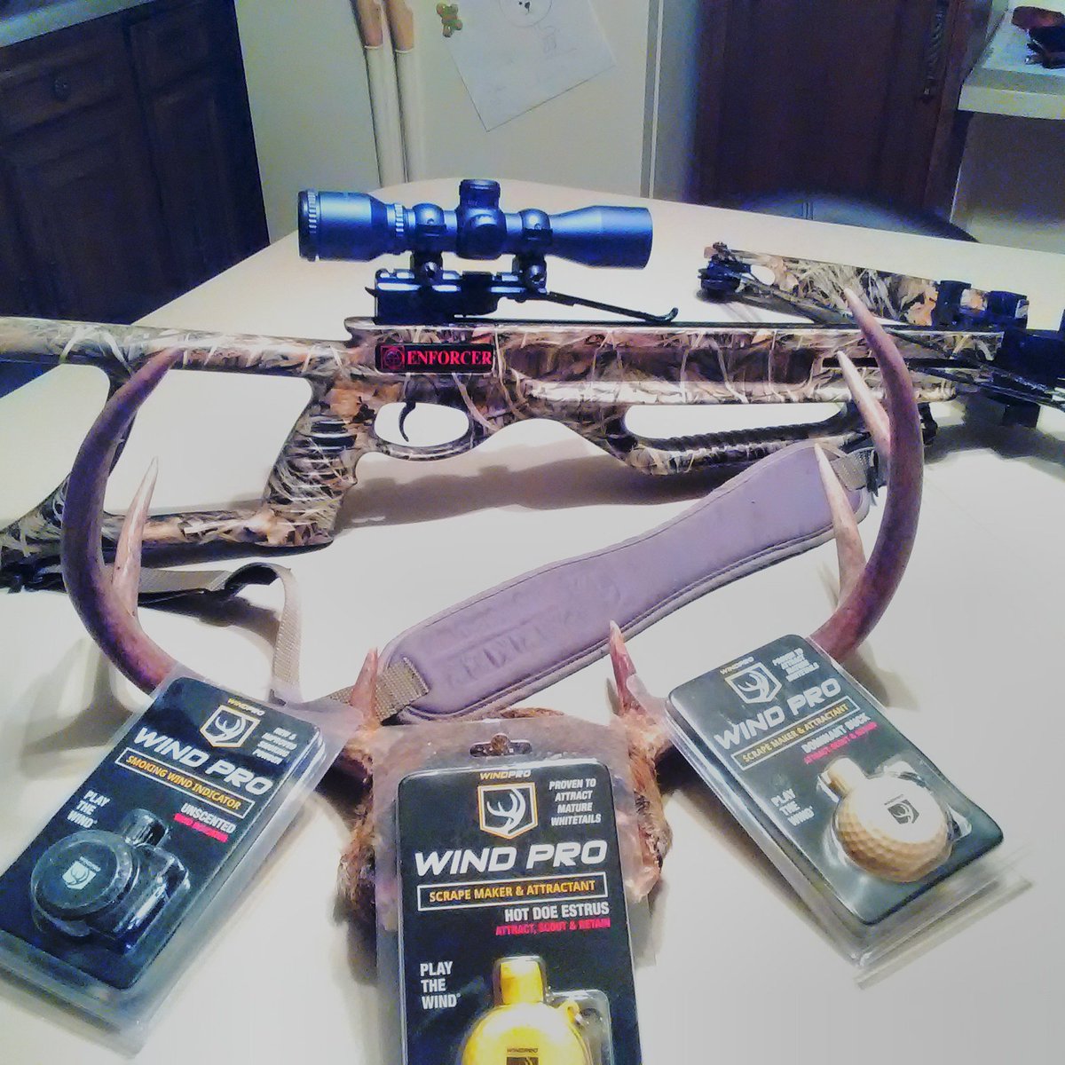 GxmoserGeorge's tweet image. #WindPro works for me !