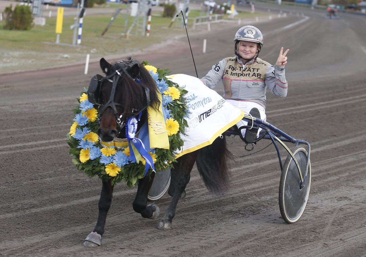 Foto_Mike_'s tweet photo. Månstorps Quatro och Hannah Gustavsson segrade i Ponny-SM #2016. #trav #ponnytav #ponnysm #älskatrav #Åbytravet #ponny #svensktmästerskap https://t.co/eTn3NzsPlL