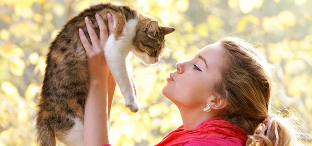 nailstudioparis's tweet photo. #Catlover, you will be fond of this address ! 
Go to @Cuddlzbar to hug some cute kitties.
Enjoy ladies !
#IESEGSMM https://t.co/o6WX6hJx6T