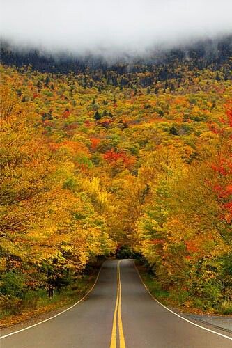 CleanMPG's tweet image. Smugglers Notch SP reminds me of the 16 @VW #Passet refresh a year ago. Gorgeous #autumn🍁 scenery as the first snow is just around the bend.