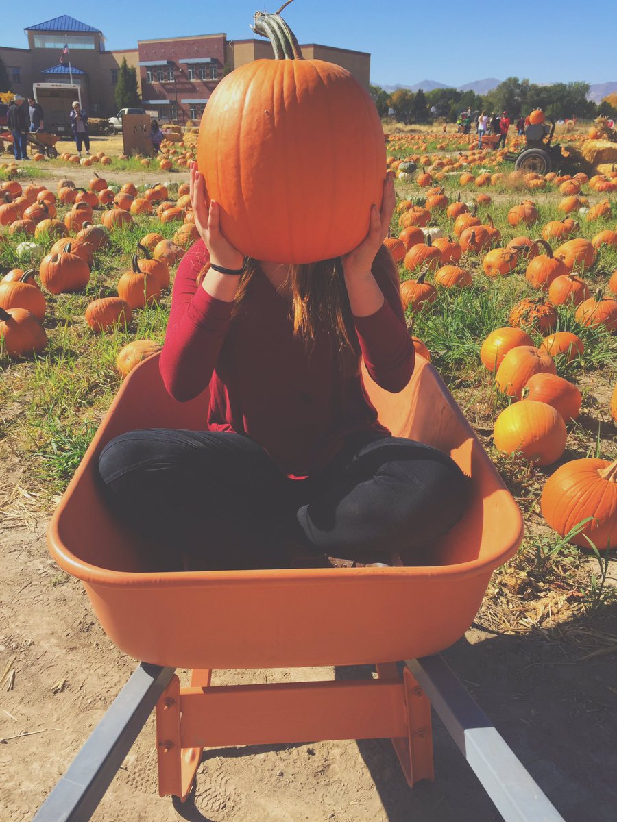 dom_here's tweet photo. Pickin' pumpkins 🎃 https://t.co/MWhtD6GsJy