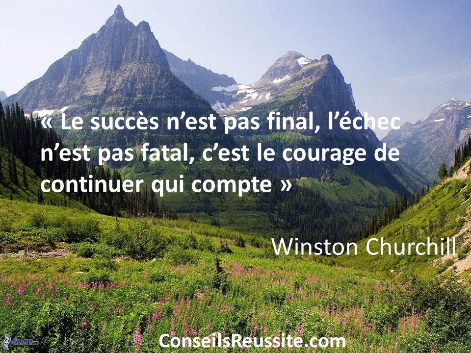 Conseils Réussite tweet media