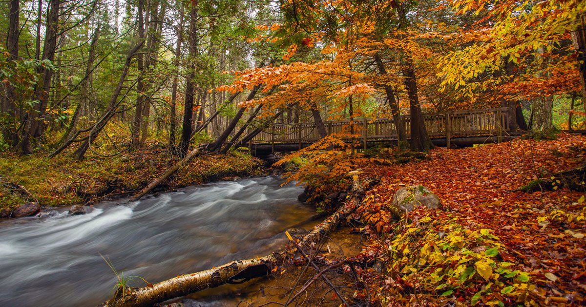 StudentDebtGuy's tweet photo. 11 Michigan Summer Getaways That Are Actually Better in the… https://t.co/EkHZeWqV77 https://t.co/eVicFH5dQx MySOdotCom RT