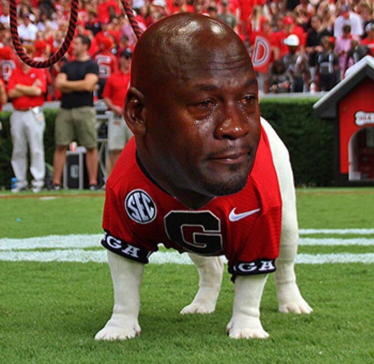 EverythingGator's tweet photo. UGA feeling salty today! https://t.co/6pPXN2OBWU
