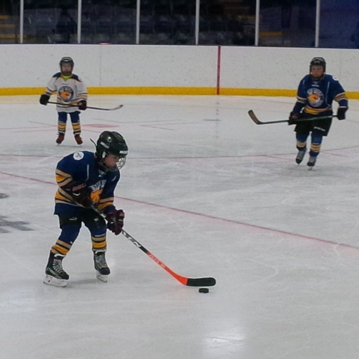 sirk_25's tweet photo. Another #RavenSpotting in #ymm today. #FMMHA #minorhockey @Raven_Hockey #Flex30 https://t.co/boeUBtXbj3