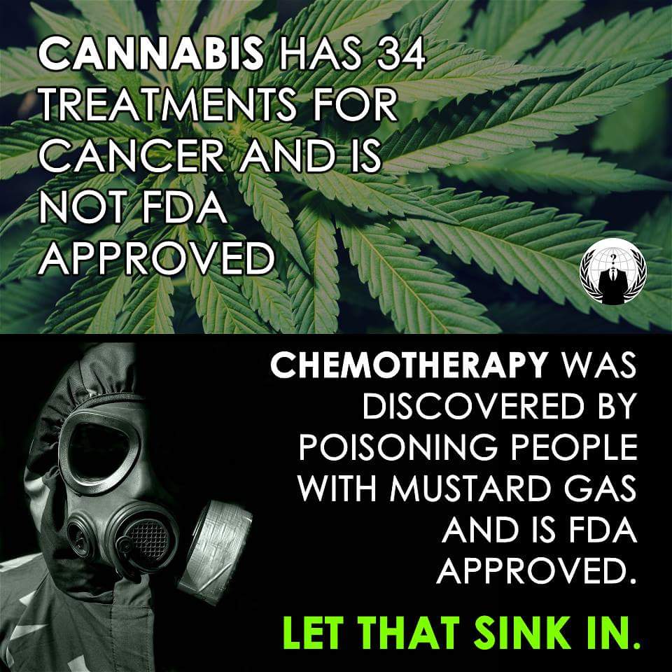 CBDReactivate's tweet photo. #BigPharma has been waging war on #cancer sufferers for decades - enough is enough https://t.co/bU5J53osUB