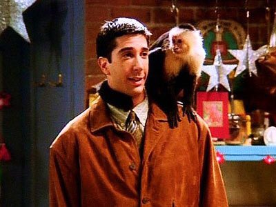 linapsson's tweet image. 