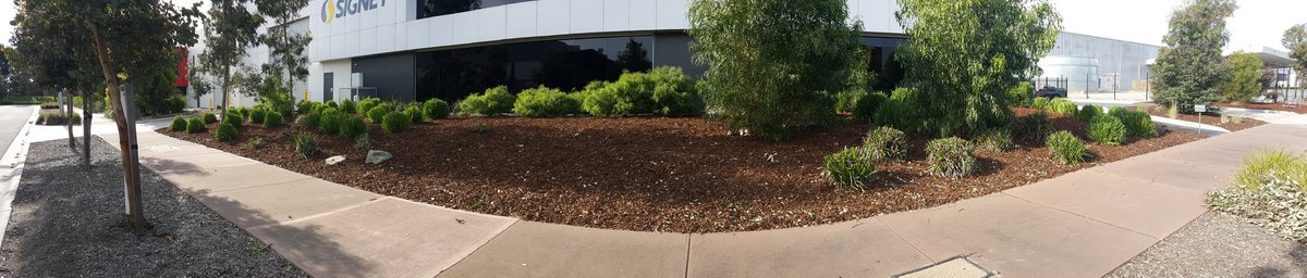 Bladerunner tweet media