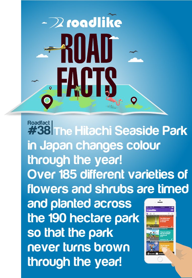 Roadliker's tweet photo. Hitachi Seaside Park in #Japan changes color through the year! Over 185 varieties of flowers &amp; shrubs across 190 hectare park #traveldiary https://t.co/GNkIarMo96