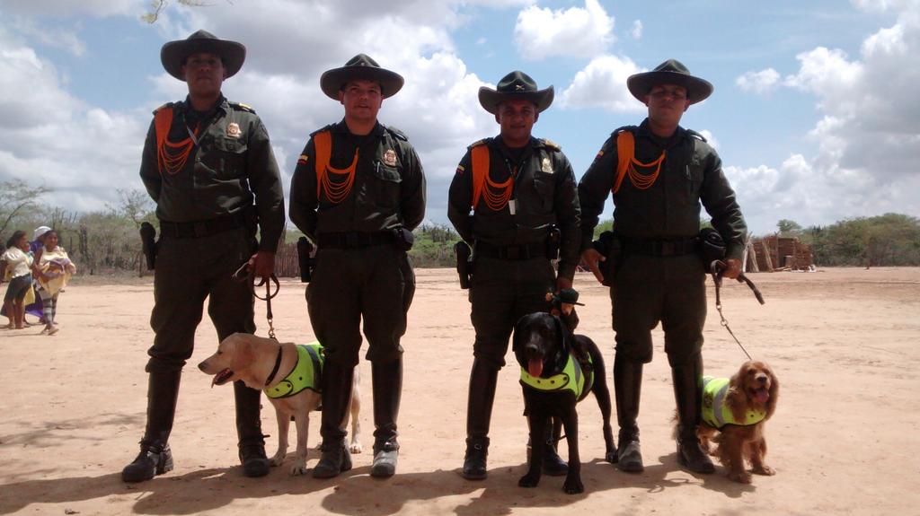 CarabinerosCol's tweet photo. .6. Los veterinarios atienden s los animales de las rancherías y adelantan los procedimientos necesarios para garantizar su condición #GRUCA https://t.co/29bvHc2yMD